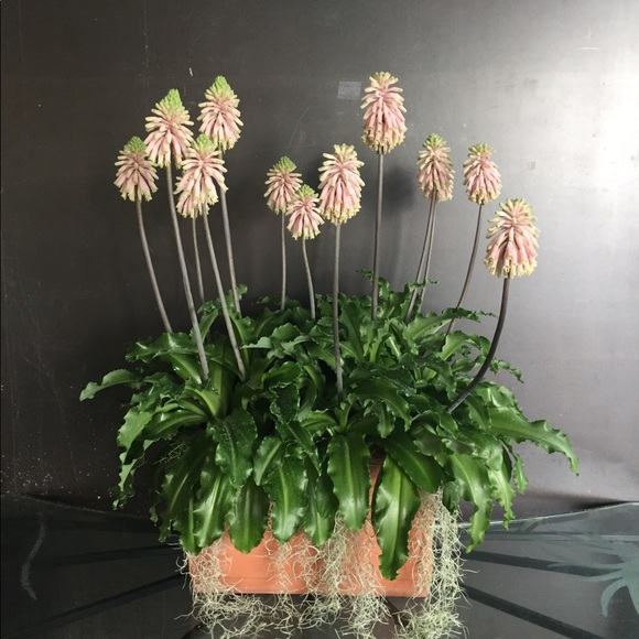 Meet your Posher, Britta - Picture 1 of 1